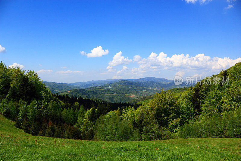 五月的山景。Beskid,波兰。