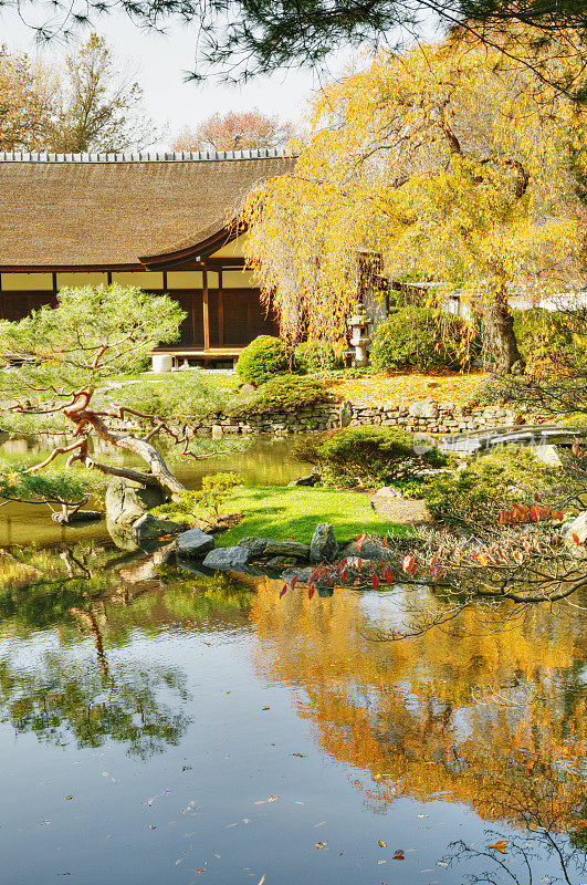 宏伟的秋天色彩在日本花园