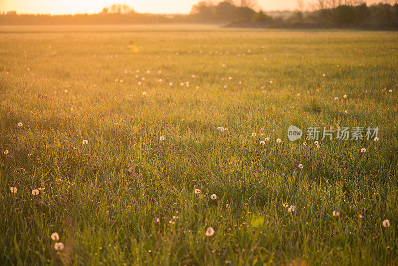 清晨的风景