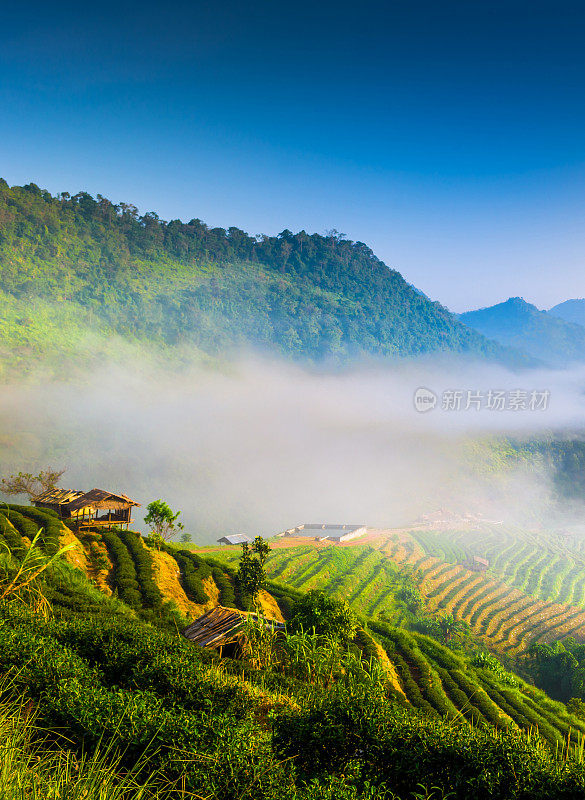 泰国北部的山景，日出和薄雾