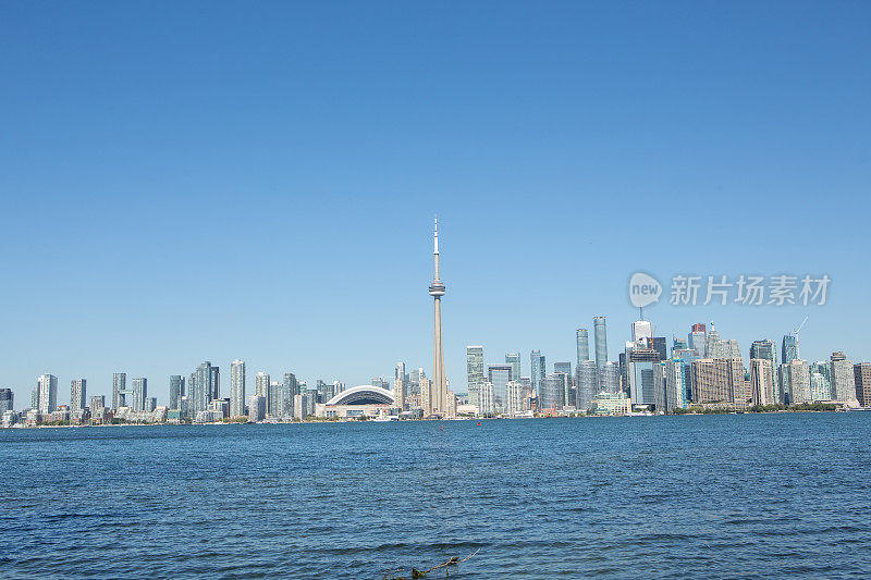 多伦多夏季城市景观