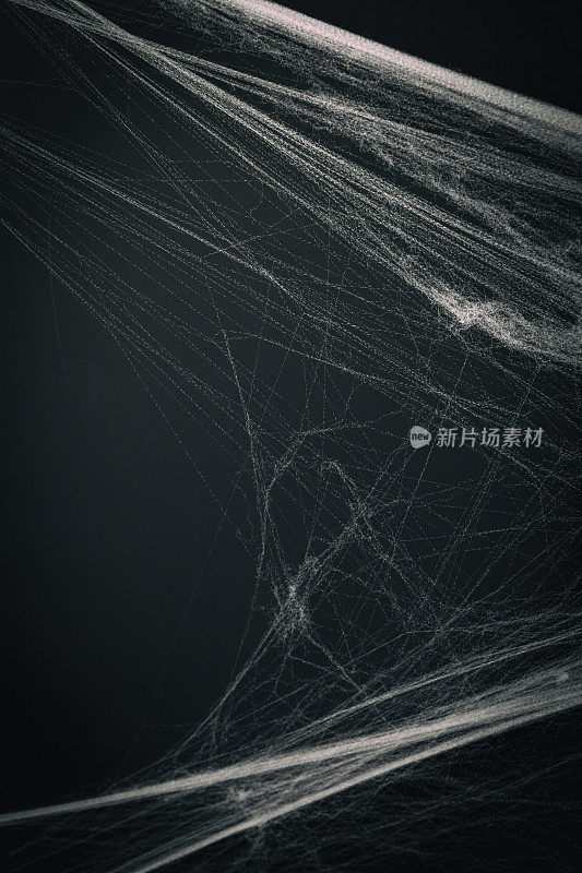 背景充满了蜘蛛网