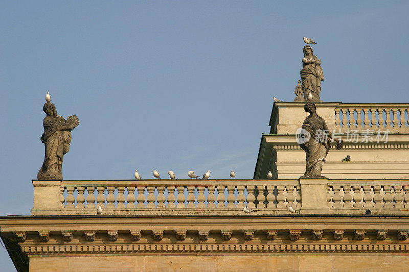 带有鸟类的新古典主义屋顶