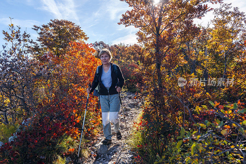 快乐的年长妇女徒步在秋天的黎明在朱利安阿尔卑斯山，斯洛文尼亚，欧洲