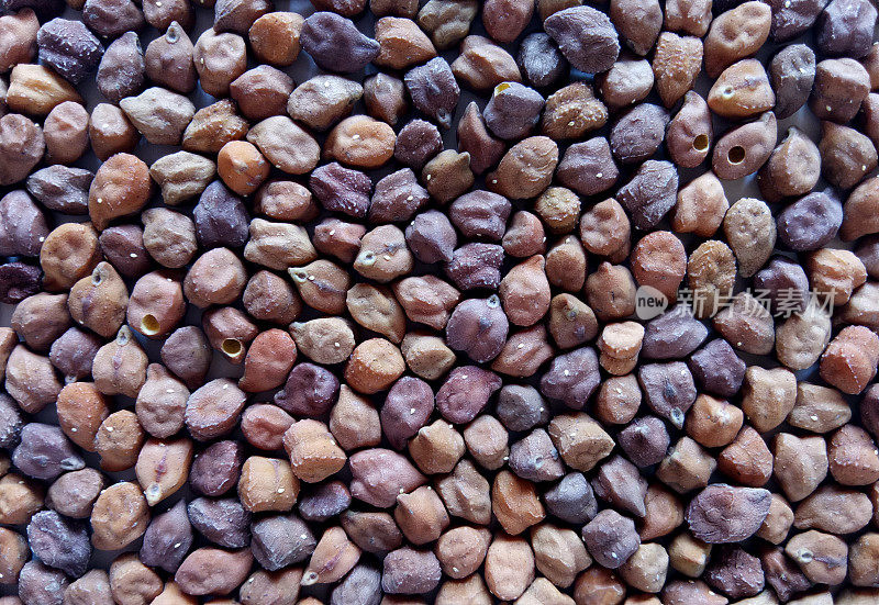 鹰嘴豆天然干豌豆健康食品配料