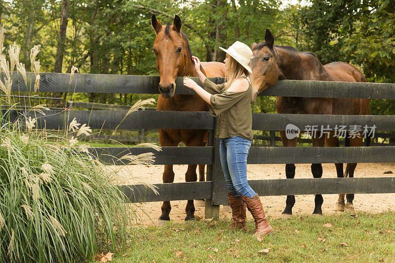 少女与马在肯塔基农场