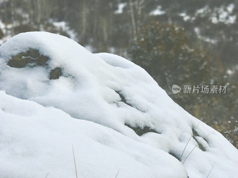 白色风景-科罗拉多州西部高海拔冬季降雪