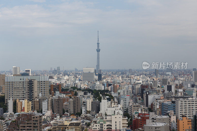 东京天际线和东京天空树在日本