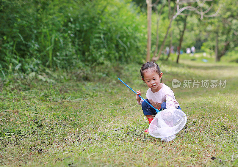 亚洲女孩在田野里与昆虫网在夏天。