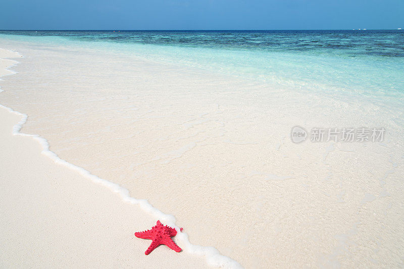 夏天海滩背景