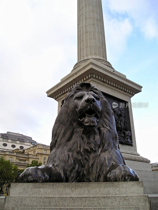 纳尔逊纪念柱的青铜狮
