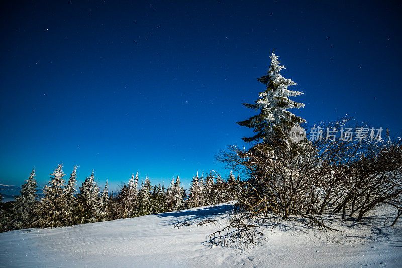 雪山里的夜星