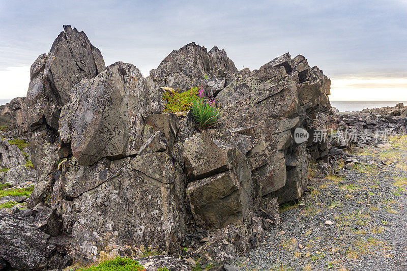 巴伦支海沿岸的岩石悬崖，Varangerhalvoya国家公园，Varanger半岛，挪威，芬兰马克