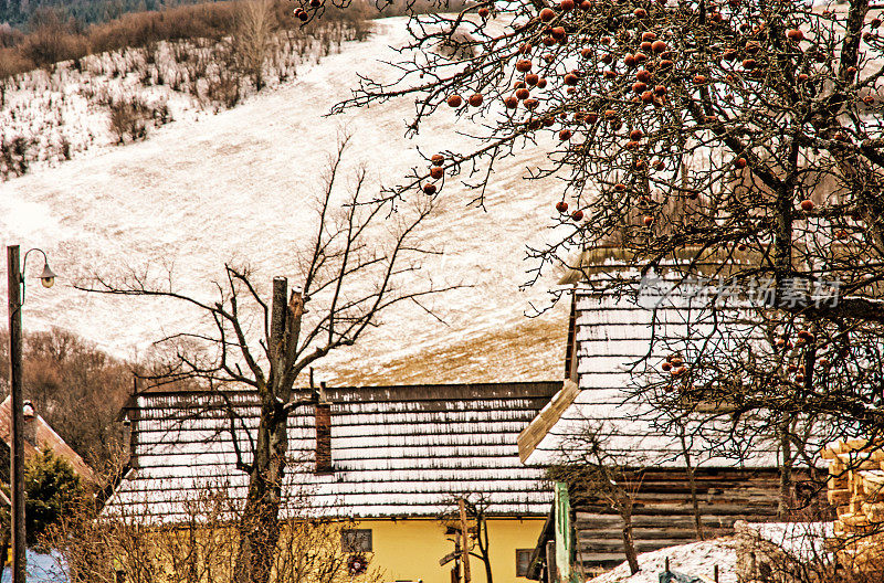弗尔科里涅克村的苹果树和木屋，黄色的滤镜
