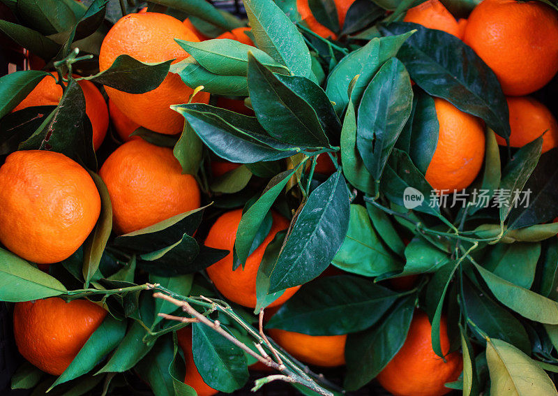 新鲜的橘子装在带有绿叶和嫩枝的木盒子里。新鲜采摘的橘子或小柑橘放在篮子里。柑橘类食物’