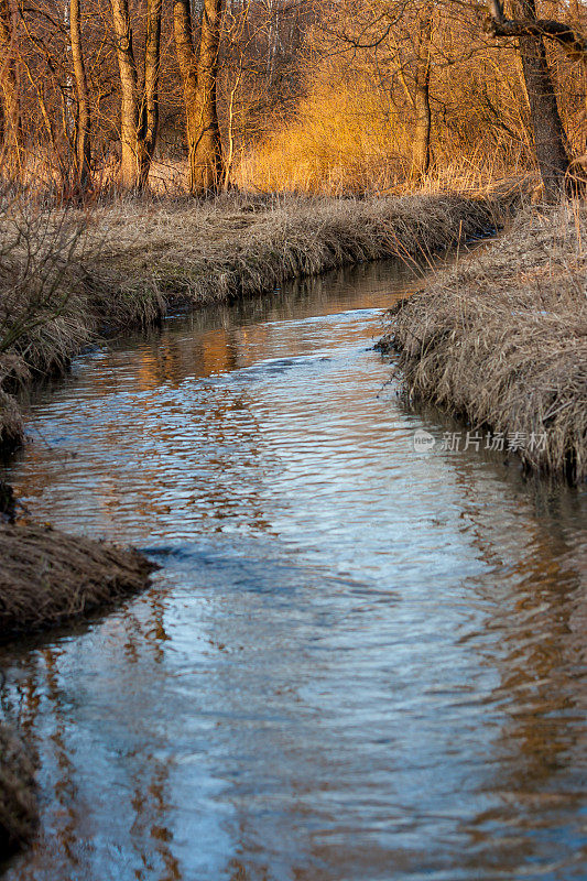 蓝色的天空在小溪和解冻的水的反射在春天四月森林日落。