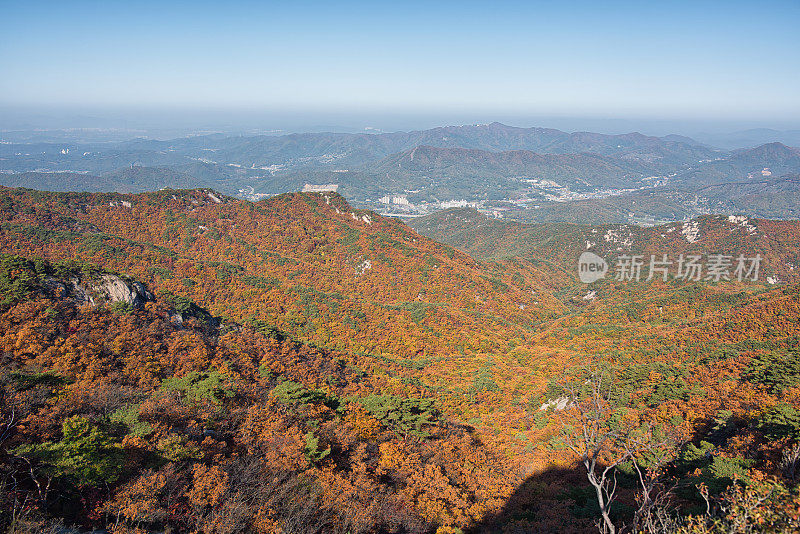 韩国的秋山