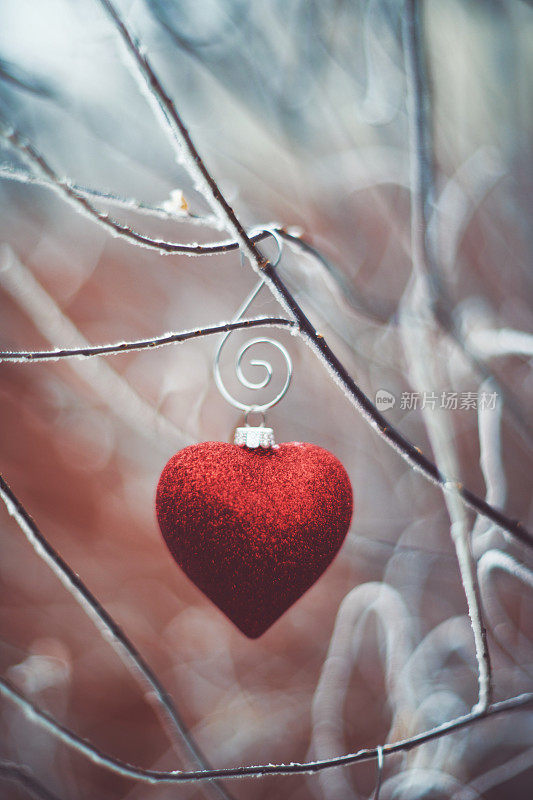 结霜的树枝上的心形装饰