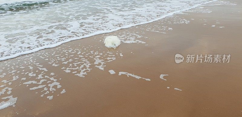 泡沫状的白色海浪拍打着海滩