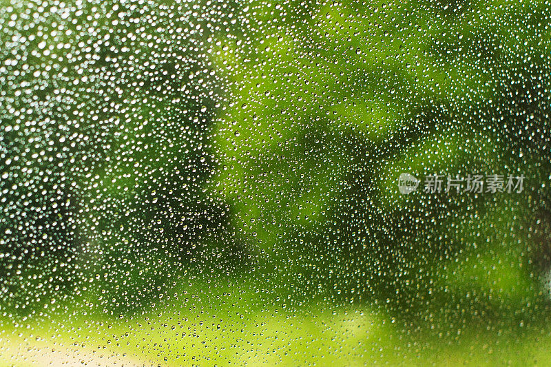 雨滴落在窗户上