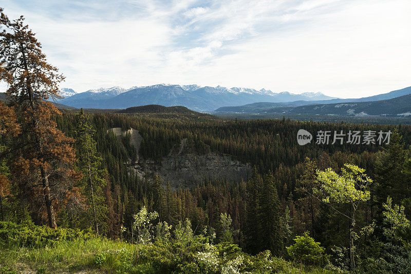 加拿大的洛基山脉，阿尔伯塔，加拿大