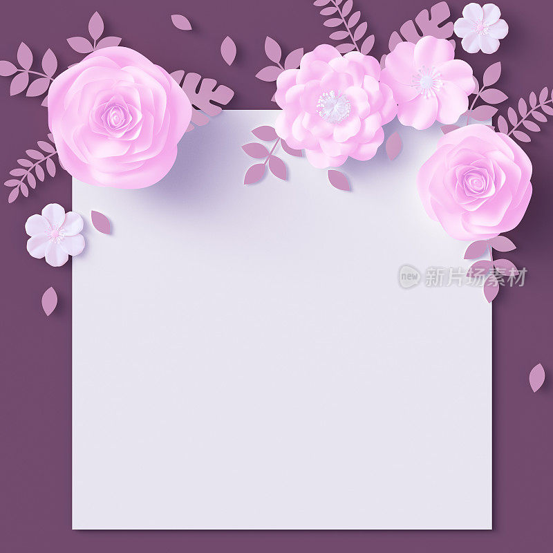 白纸和花卉设计元素，框架在粉红色的花朵，开花模板与复制空间，3d渲染