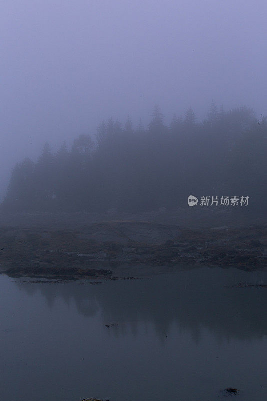 紫色的霾，雾，雾Moddy缅因州海岸线