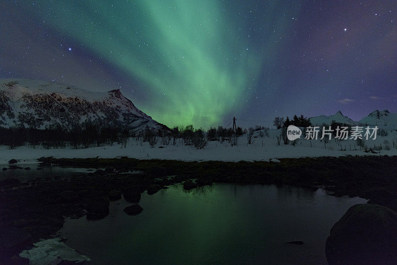 北极光，北极光或北极光在夜空中在罗浮敦群岛在挪威北部