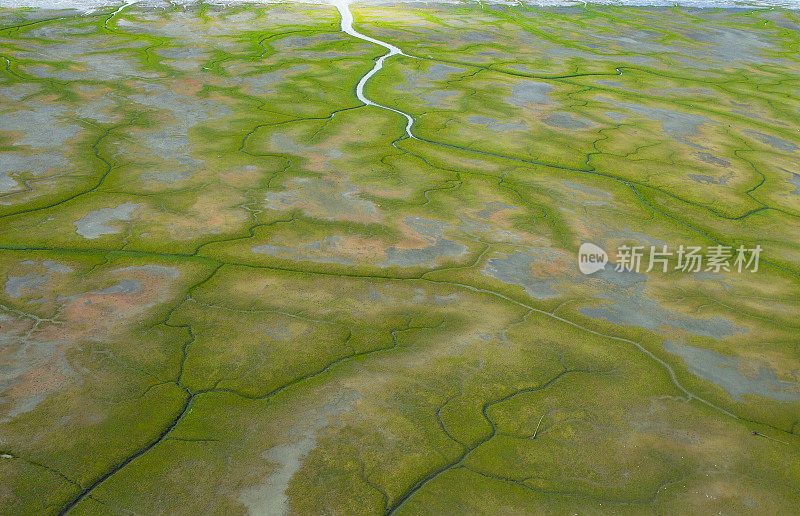 河流和水湾穿过阿拉斯加绿色贫瘠的冻土带。
