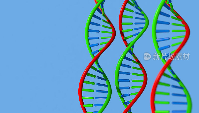 dna分子生物化学的概念