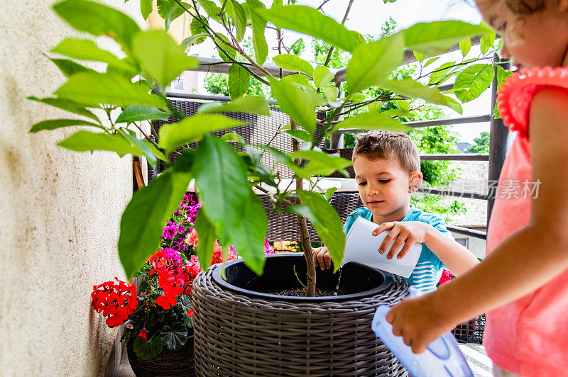 孩子们帮助种植植物