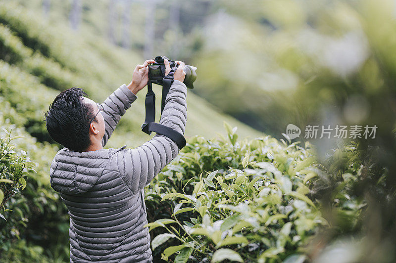 亚洲华人游客在卡梅隆高原茶园享受清晨的自然之美和空气的新鲜，并拍摄风景