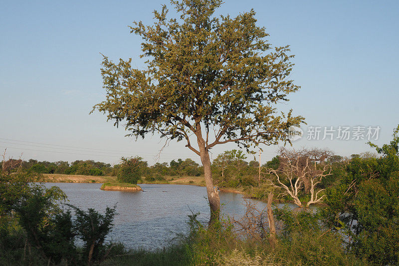 南非多刺灌木自然保护区，第二部分