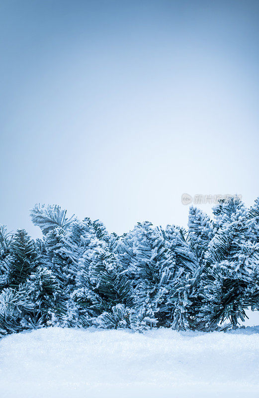 雪花圣诞灵感背景图像