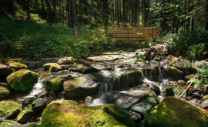 田园诗般的溪流在森林与大青苔石头和木桥