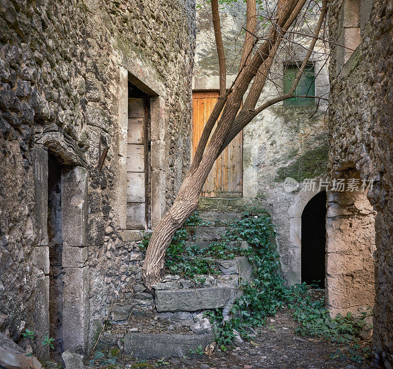意大利阿布鲁齐，拉奎拉省，纳维里，一棵从楼梯上生长的树