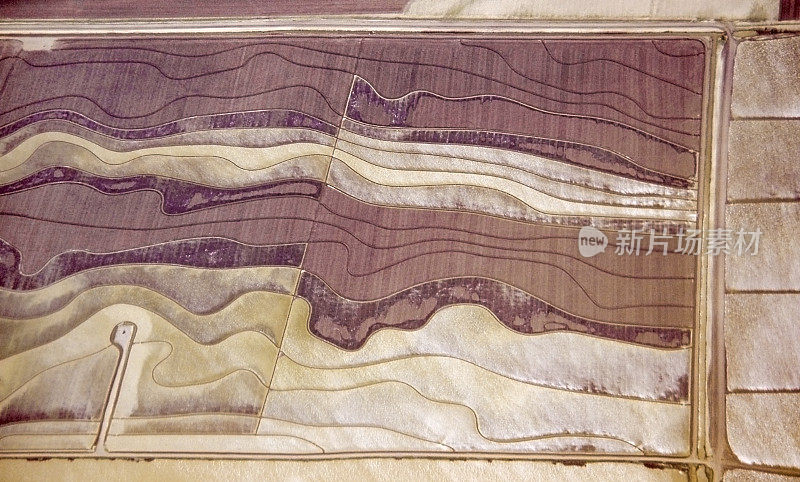 加州北部稻田的鸟瞰图
