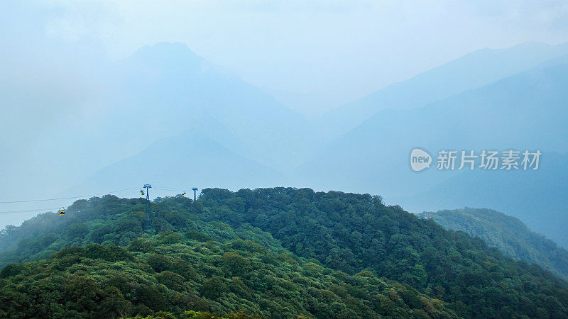 中国贵州梵净山的大雾森林