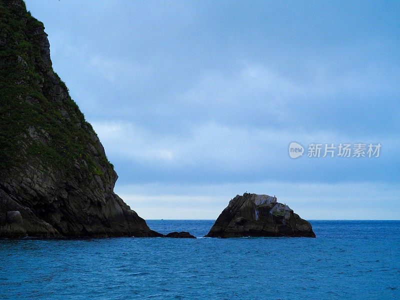 峡湾和鸟类