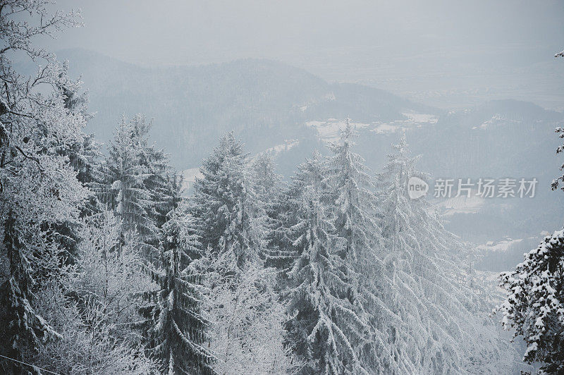 多雾的冬天的风景