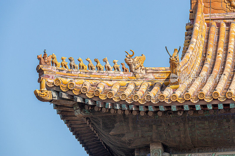 北京紫禁城屋顶