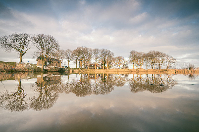 在IJsseldelta的一个老堤坝决口池塘的景观