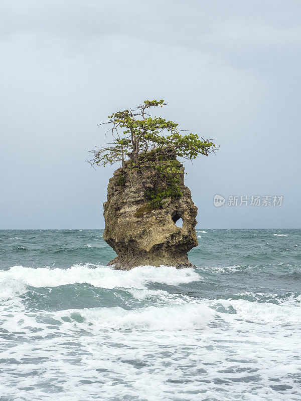 加勒比海的小岩石，在哥斯达黎加的甘多卡-曼萨尼约野生动物保护区