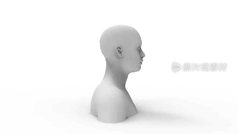 在白色背景中隔离的人体模型的3d渲染