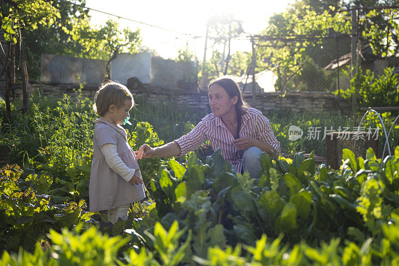 母亲和婴儿一起在夕阳下园艺。