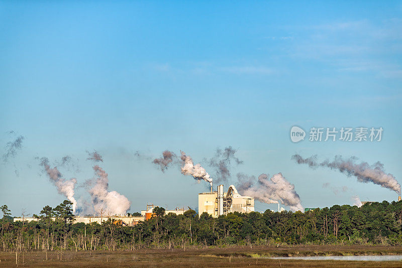 乔治亚州Riceboro的烟雾污染来自于造纸厂制造的蓝天和风景中的树木