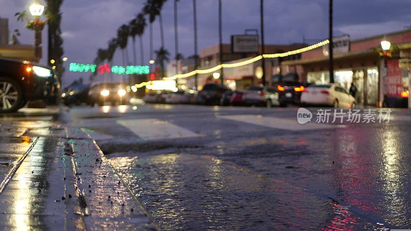雨天道路上的灯光反射。棕榈树和降雨，加利福尼亚。