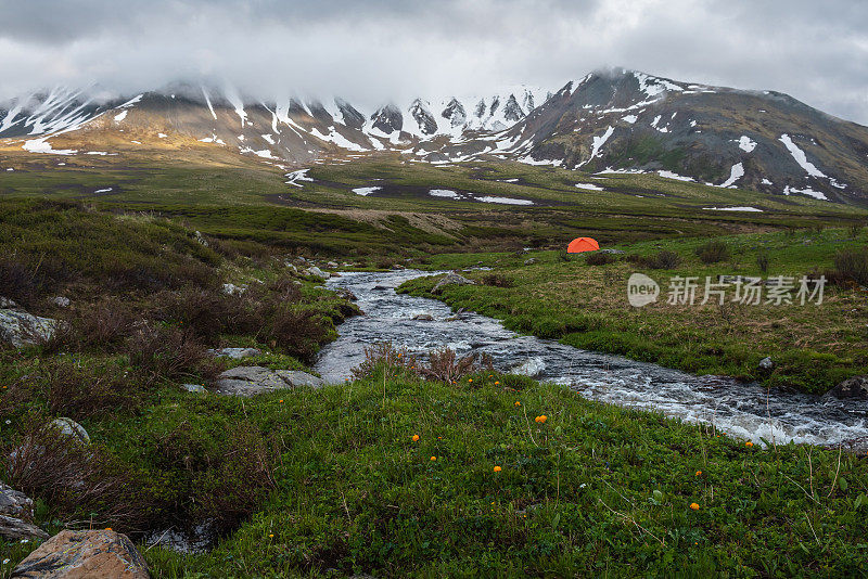 桔黄色的花朵和桔黄色的帐篷在清澈的溪水边，在低低的雨云中看到山脉。戏剧性的风景与山溪和雪山在灰色的低云。