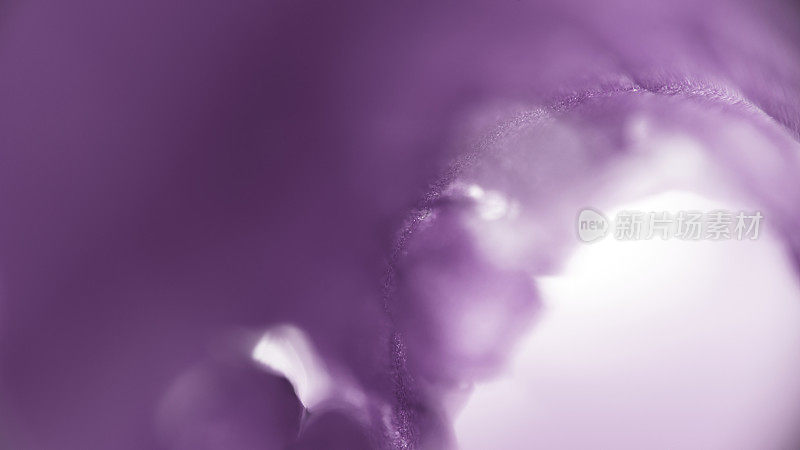 极宏观天然紫鸢尾花有机图案