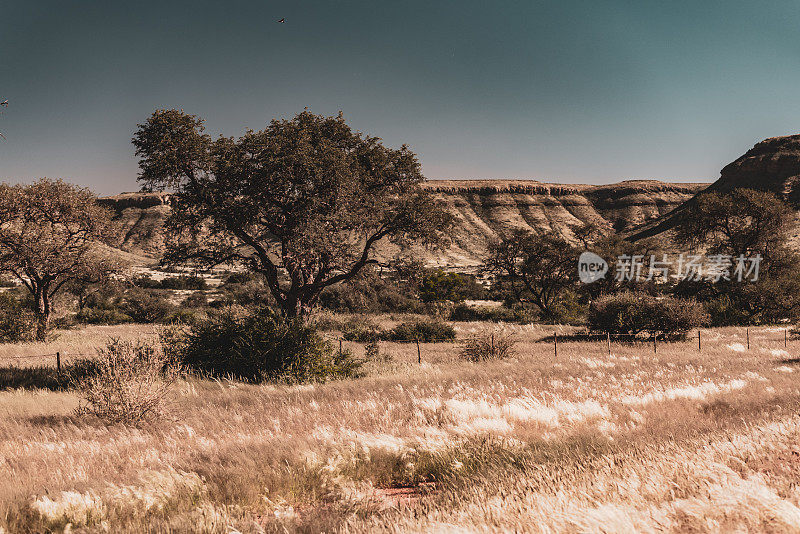 在非洲纳米比亚的自助狩猎之旅中驾车穿越美丽的风景